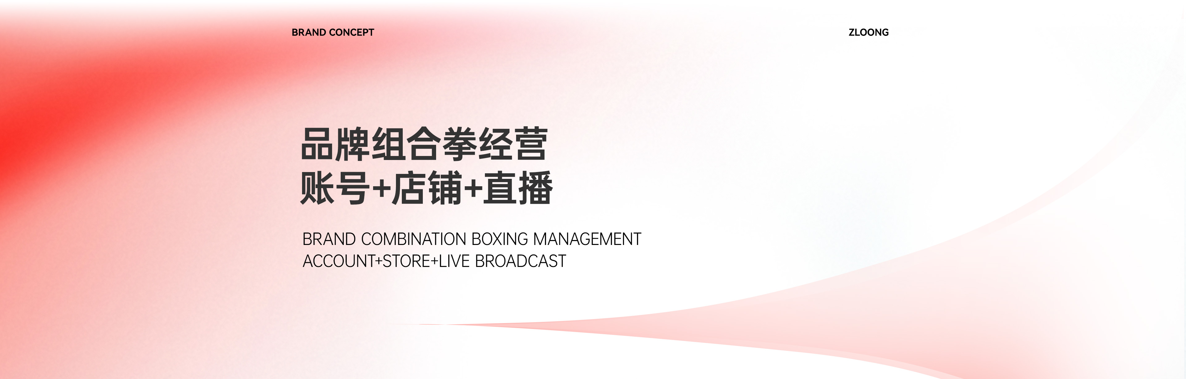 紫龙网站-官网-电商直播运营_01